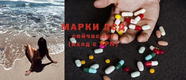PSILOCYBIN Дмитриев