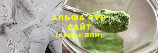 PSILOCYBIN Дмитриев