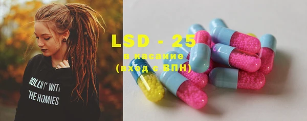 PSILOCYBIN Дмитриев