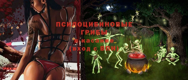 2c-b Дмитровск