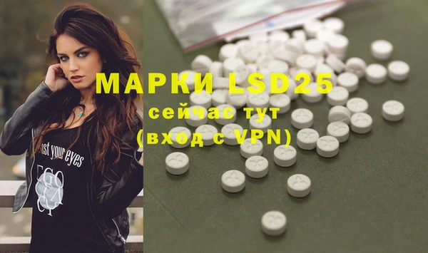 PSILOCYBIN Дмитриев